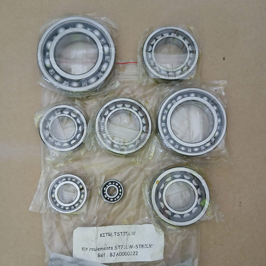 Kit de Révision Roulement BV Clio Rallye 4// 5