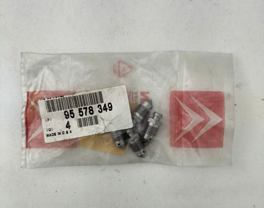 Vis de Purge d'Etrier de Frein