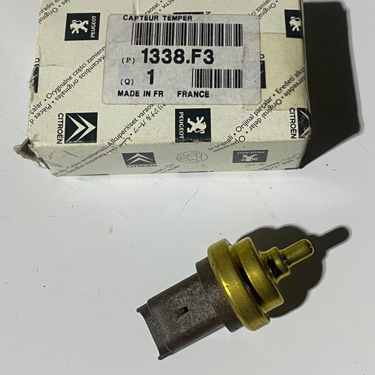 Capteur de Température d'Eau 207R3T