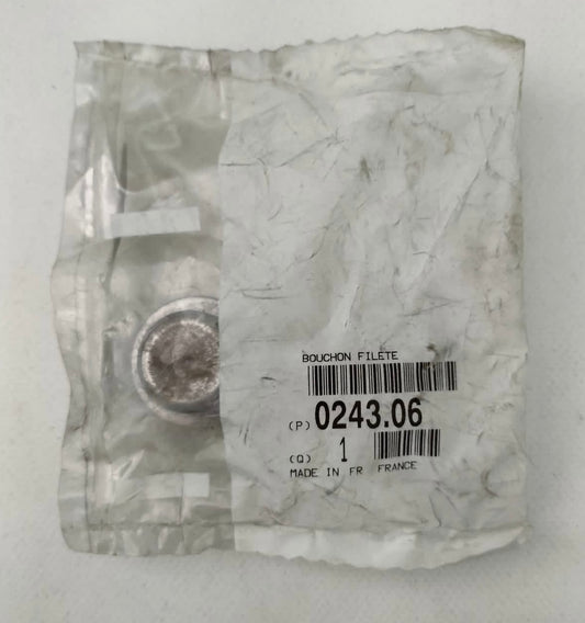 Bouchon fileté bloc moteur 22X150 024306