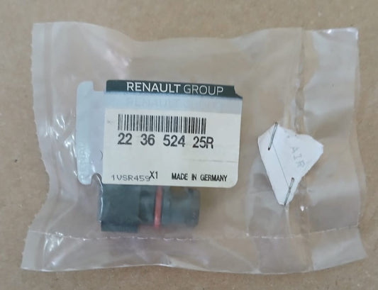 Paire de Capteur Oxygène Clio Rallye 3 - 4