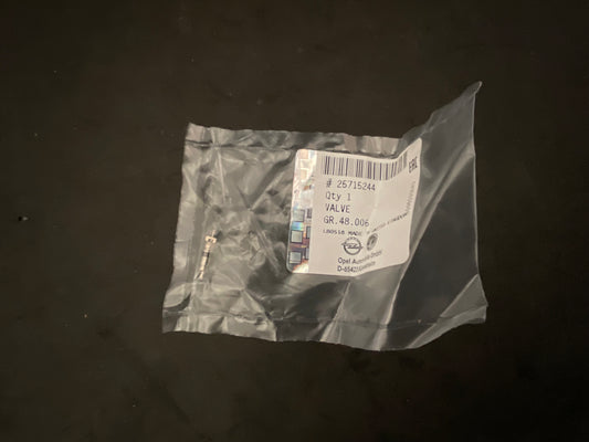 Valve de Pression des Pneus