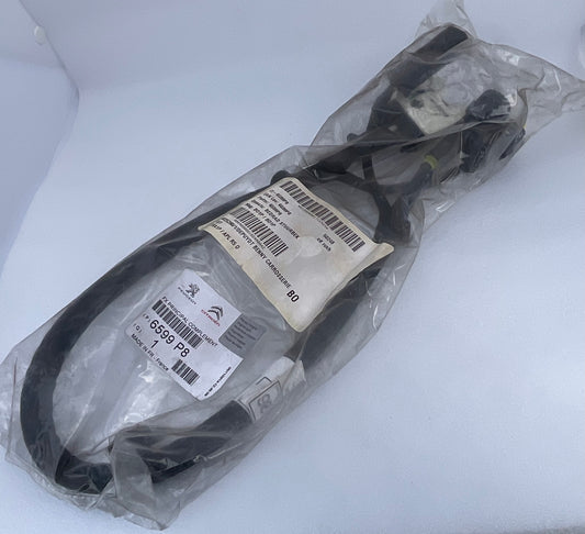 Faisceau Complément 6599P8