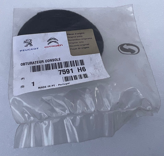 Obturateur de Console 7591H6