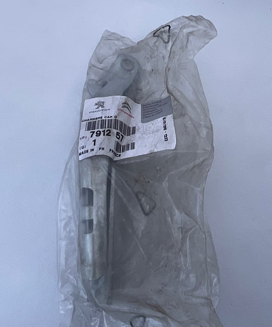 Charnière de Capot Moteur Gauche Peugeot 206