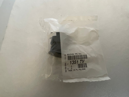 Bouchon de Pompe à Eau 1351TV