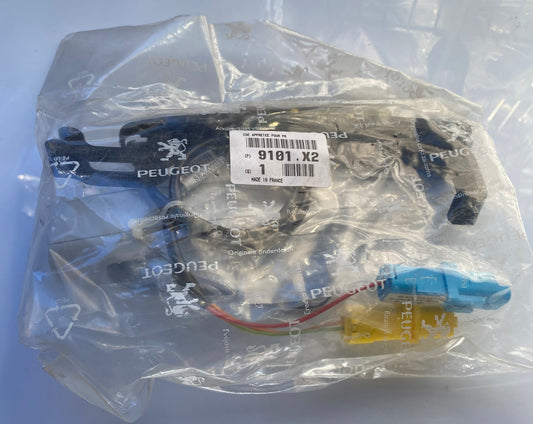 Poignée de Porte Extérieure Peugeot 307CC