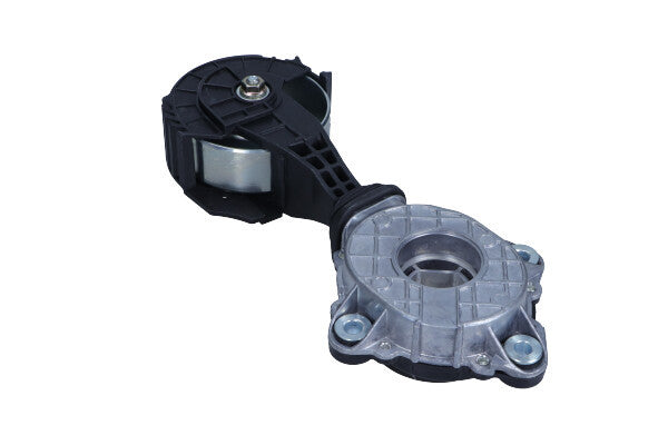 Galet tendeur de friction DS3R3