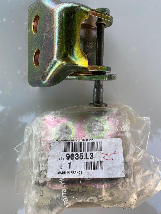Charnière Inférieure de Porte Peugeot 307