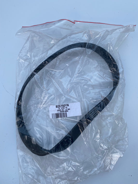 Courroie d'Accessoires DS3R1 5750.YN