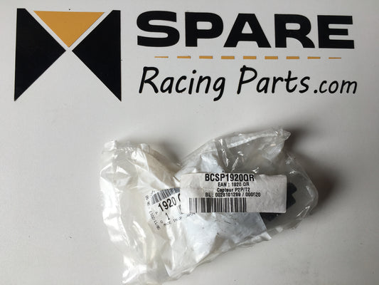 Capteur P2P/T2 DS3R5 1920QR