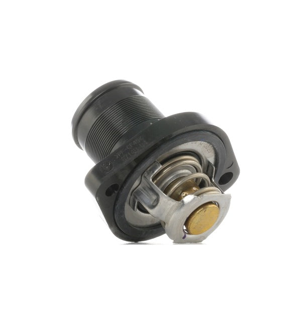 Embout Thermostat C2R2 Max